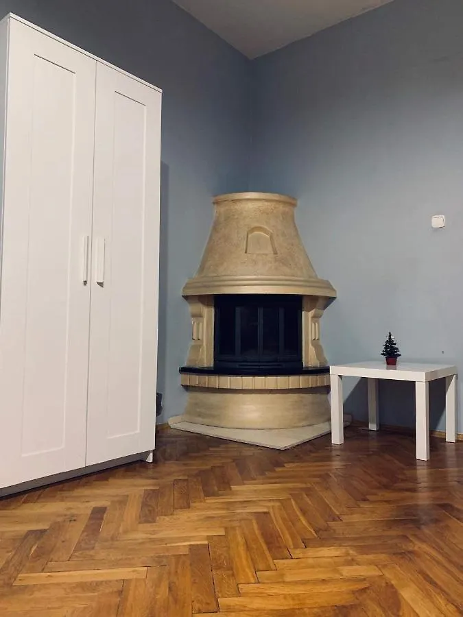 Spacious Apartment Kraków
